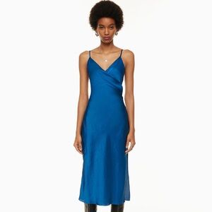 Aritzia Scenery Dress